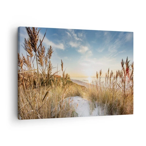 Bild auf Leinwand - Leinwandbild - Ein malerischer Strand mit Gras und untergehender Sonne - 70x50cm - Nordstrand - Moderne Wanddekoration für Wohnzimmer und Schlafzimmer ARTTOR