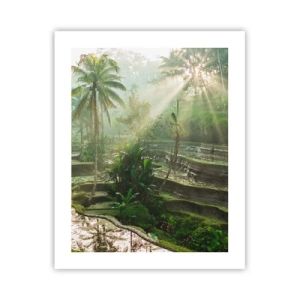 Poster - In der Sonne aufwachsen - 40x50 cm