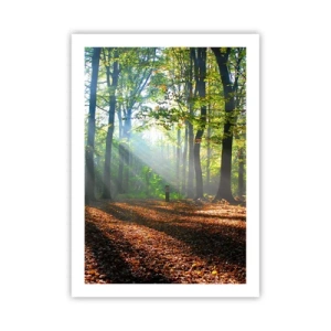 Poster - Sonnenstrahlen im herbstlichen Wald - 50x70cm - Licht und Schatten - Moderne Wanddekoration für Wohnzimmer und Schlafzimmer ARTTOR