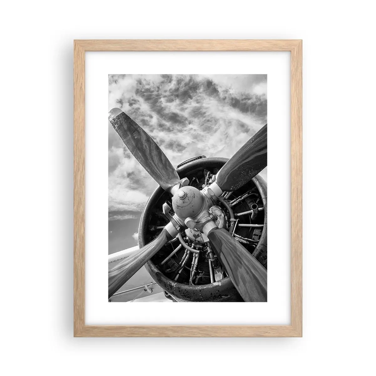 Poster in einem Rahmen aus heller Eiche - Eroberer der Lüfte - 30x40 cm