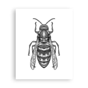 Poster - Von einem Insektenplaneten - 40x50 cm