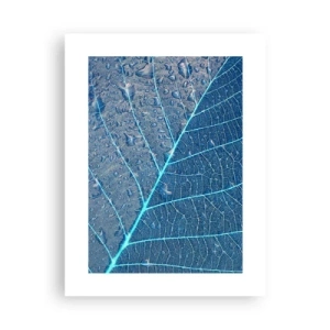 Poster - Leben in Blau - 30x40 cm