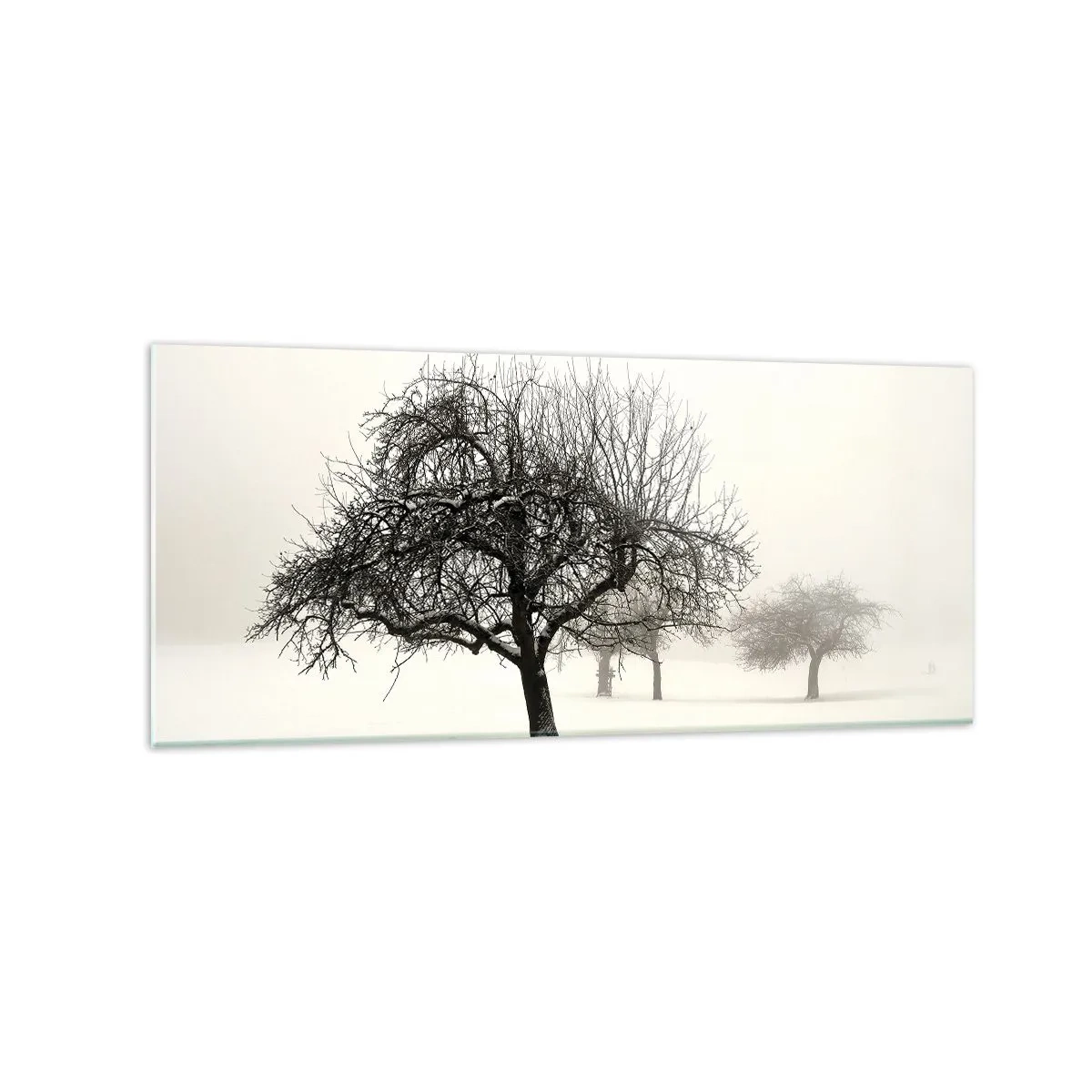 Glasbild - Bild auf glas - Bäume auf einem schneebedeckten Feld, umgeben von Nebel - 120x50cm - Winterschlaf - Moderne Wanddekoration für Wohnzimmer und Schlafzimmer ARTTOR