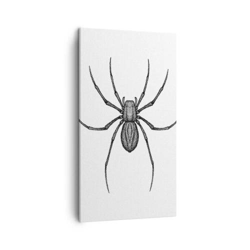 Bild auf Leinwand - Leinwandbild - Beunruhigende Präzision - 45x80 cm