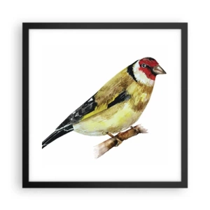 Poster in einem schwarzem Rahmen - Vogelporträt - 40x40 cm