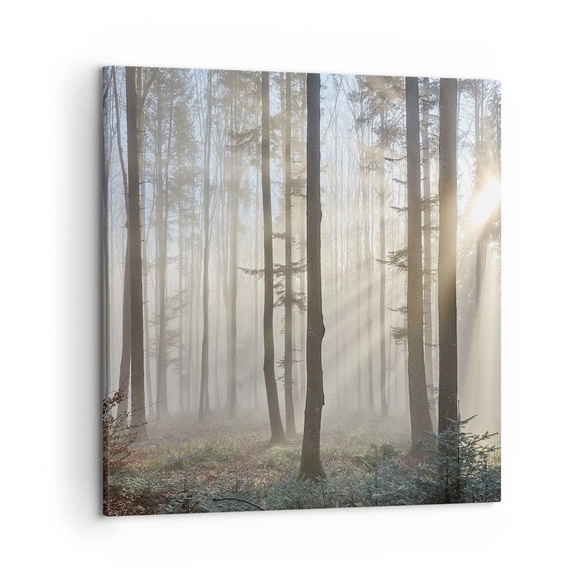 Bild auf Leinwand - Leinwandbild - Der Nebel ist auch aufgewacht - 50x50 cm