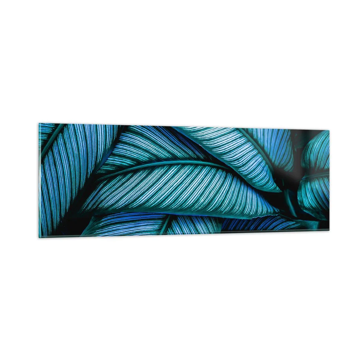 Glasbild - Bild auf glas - Lebenslinien - 90x30 cm