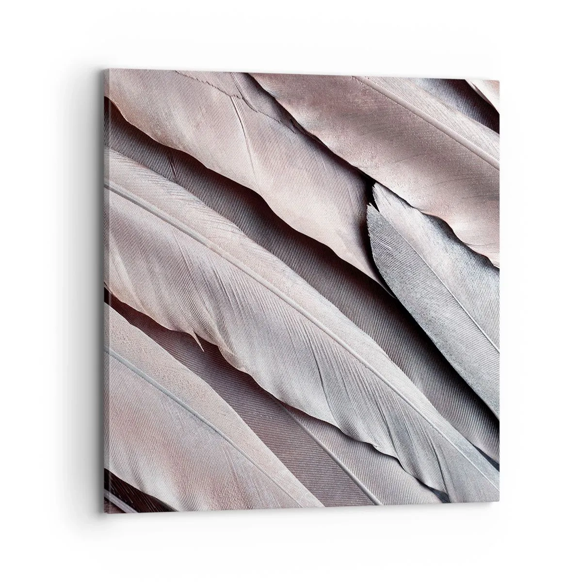 Bild auf Leinwand - Leinwandbild - In rosa Silber - 70x70 cm