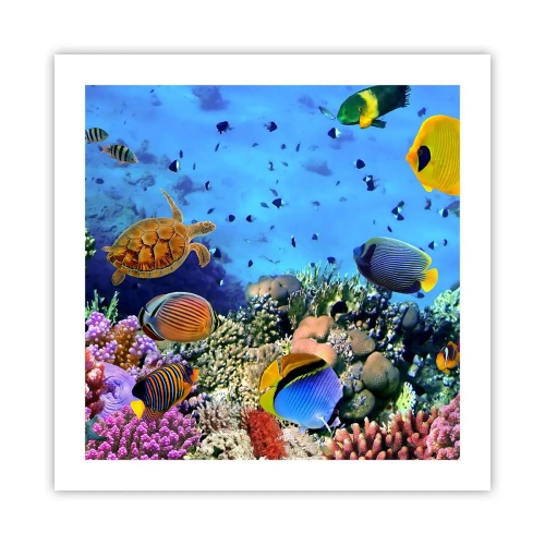 Poster - Und was wissen wir über das Leben ... - 50x50 cm