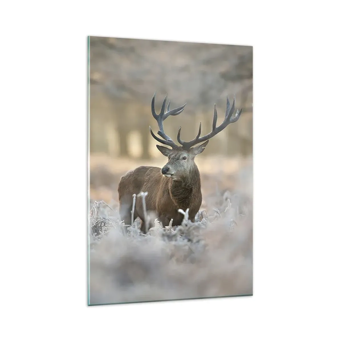 Glasbild - Bild auf glas - Ein Reh auf einer frostigen Lichtung in einem Winterwald mit dezenten Farben - 80x120cm - Ein flotter Morgen - Moderne Wanddekoration für Wohnzimmer und Schlafzimmer ARTTOR