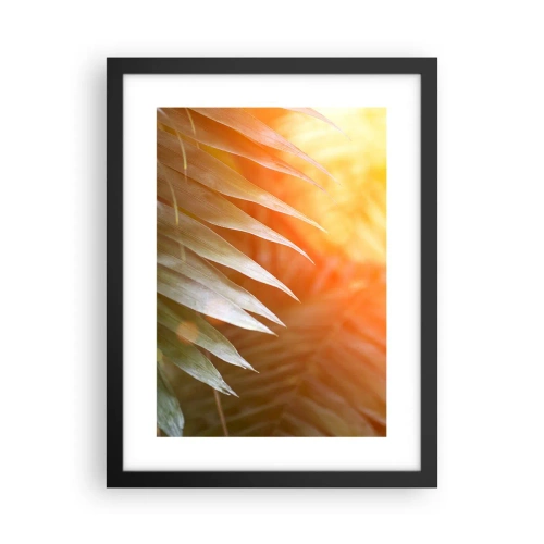Poster in einem schwarzem Rahmen - Morgen im Dschungel - 30x40 cm