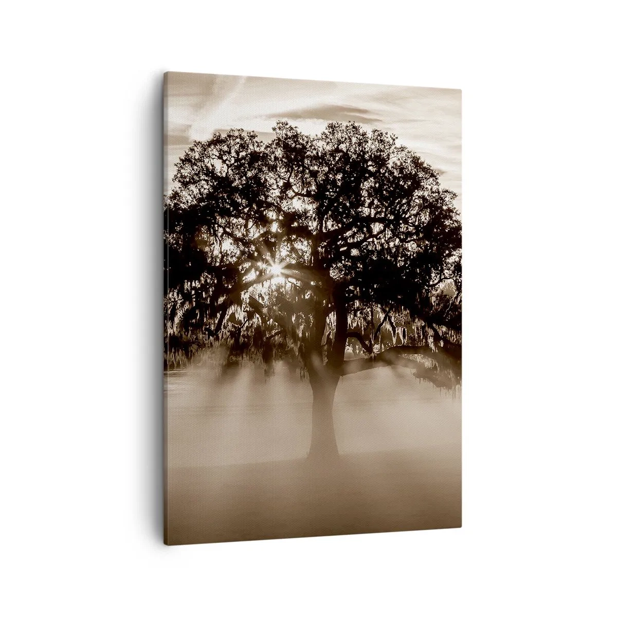 Bild auf Leinwand - Leinwandbild - Sonnenstrahlen scheinen durch einen einsamen Baum - 50x70cm - Baum der guten Nachrichten  - Moderne Wanddekoration für Wohnzimmer und Schlafzimmer ARTTOR