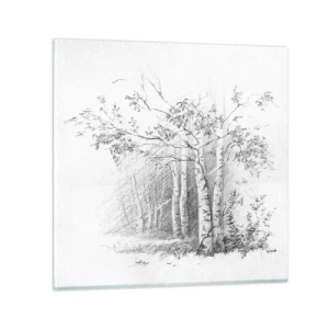 Glasbild - Bild auf glas - Das Licht des Birkenwaldes - 70x70 cm