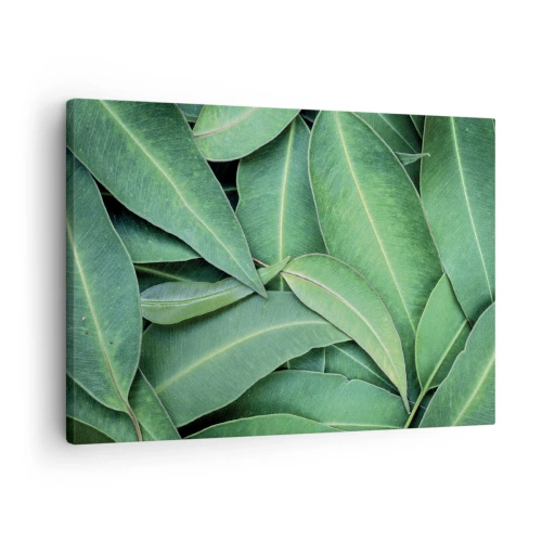 Bild auf Leinwand - Leinwandbild - Nahaufnahme von grünen Blättern, die ein natürliches Muster erzeugen - 70x50cm - Saftig und frisch - Moderne Wanddekoration für Wohnzimmer und Schlafzimmer ARTTOR