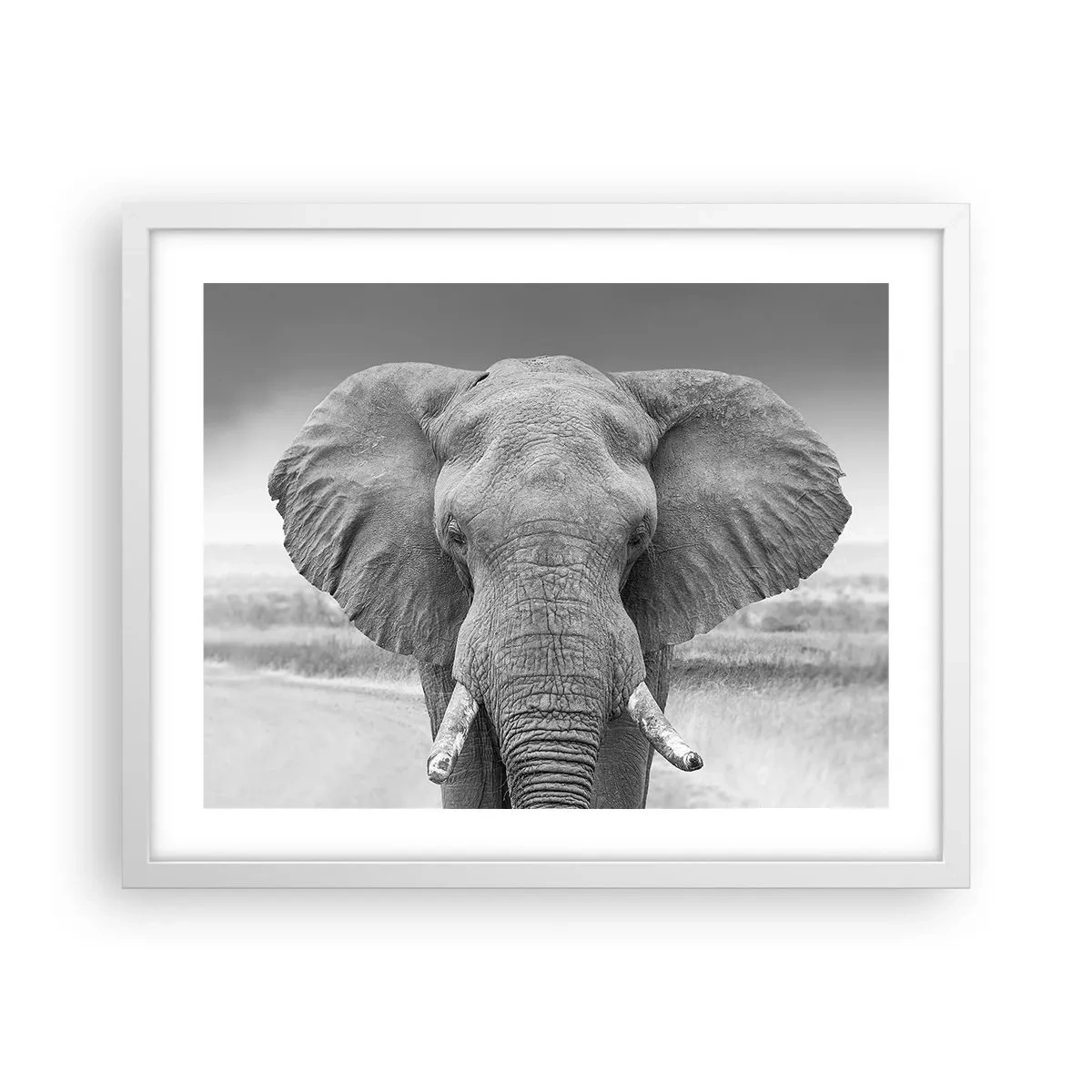 Poster in einem weißen Rahmen - Willkommen in meiner Welt - 50x40 cm