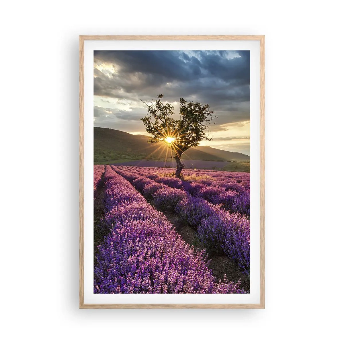 Poster in einem Rahmen aus heller Eiche - Fliederfarbenes Aroma - 61x91 cm