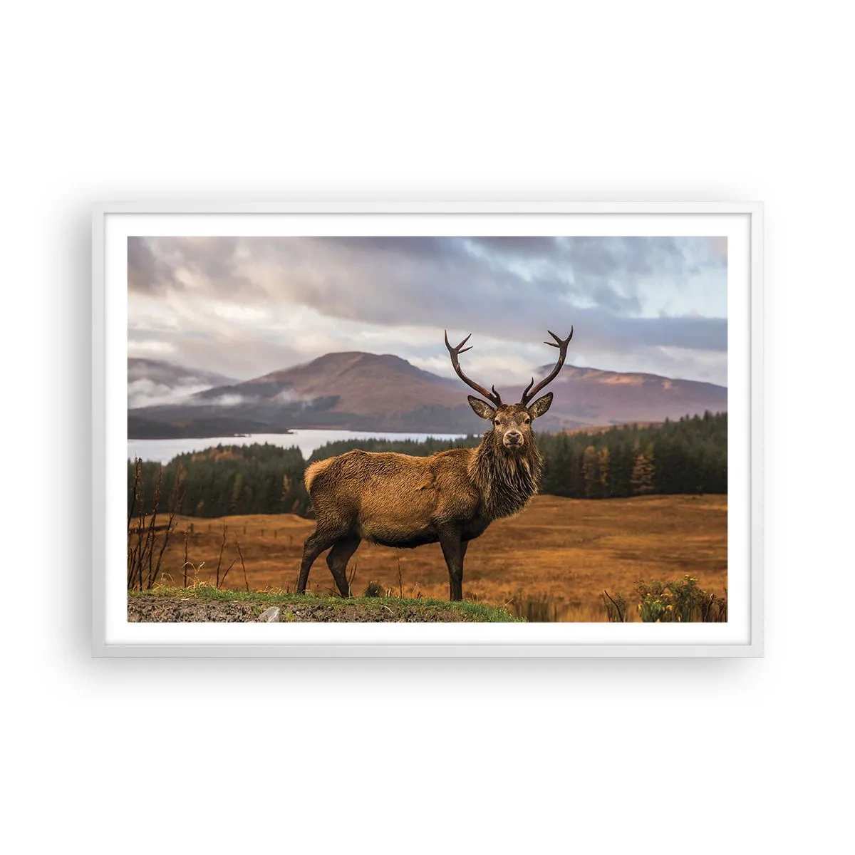 Poster in einem weißen Rahmen - Die Majestät der Natur - 91x61 cm