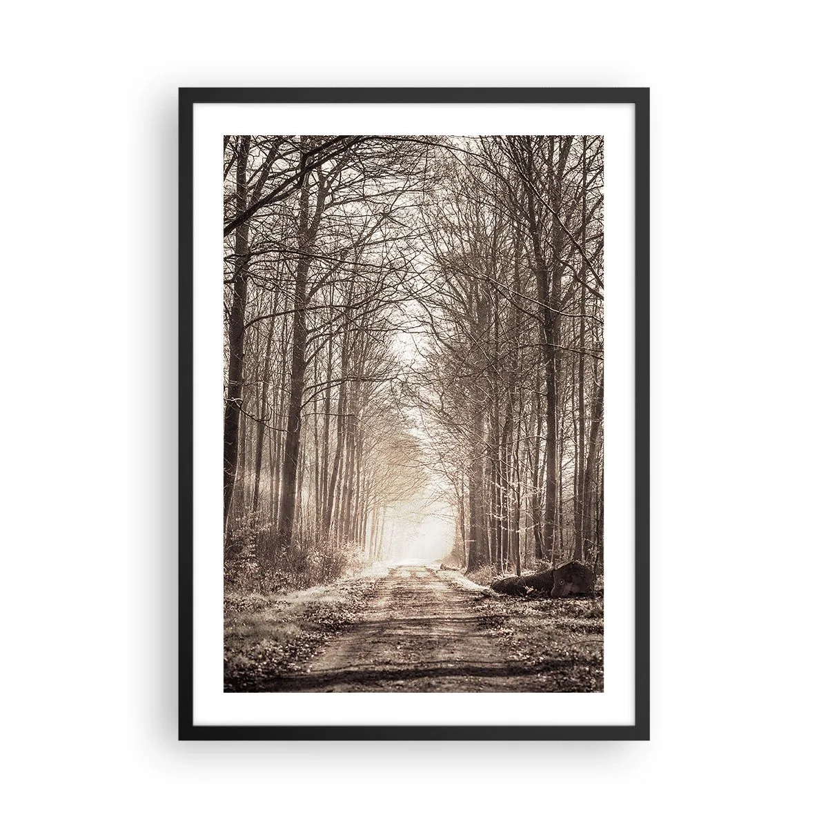 Poster in einem schwarzem Rahmen - Ein Waldweg in herbstlichen Sepiatönen - 50x70cm - Waldkathedrale - Moderne Wanddekoration für Wohnzimmer und Schlafzimmer ARTTOR