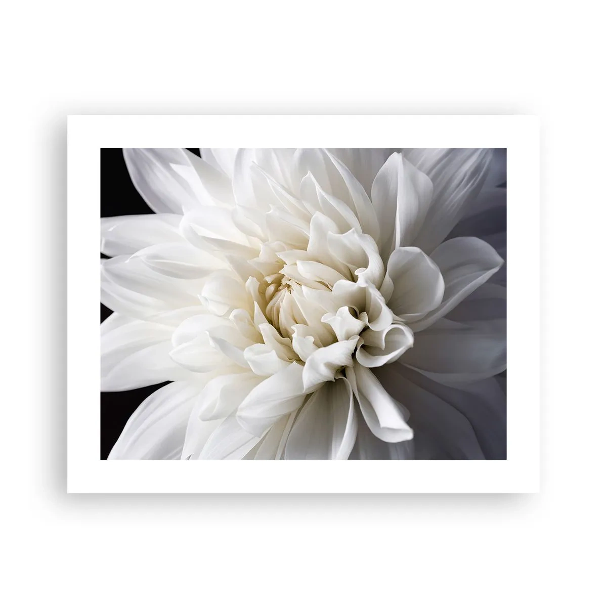 Poster - Der Morgen der Braut - 50x40 cm