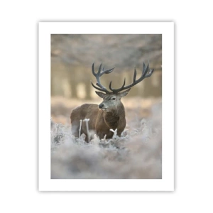 Poster - Ein flotter Morgen - 40x50 cm