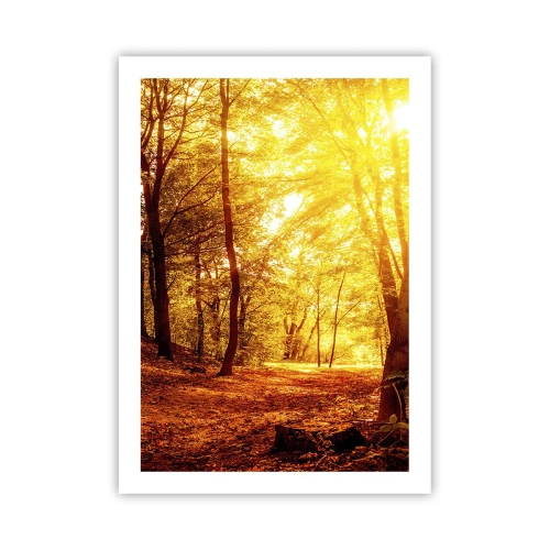 Poster - Sonnenuntergang erleuchtet einen Herbstwald voller goldener Blätter - 50x70cm - Auf die goldene Lichtung - Moderne Wanddekoration für Wohnzimmer und Schlafzimmer ARTTOR