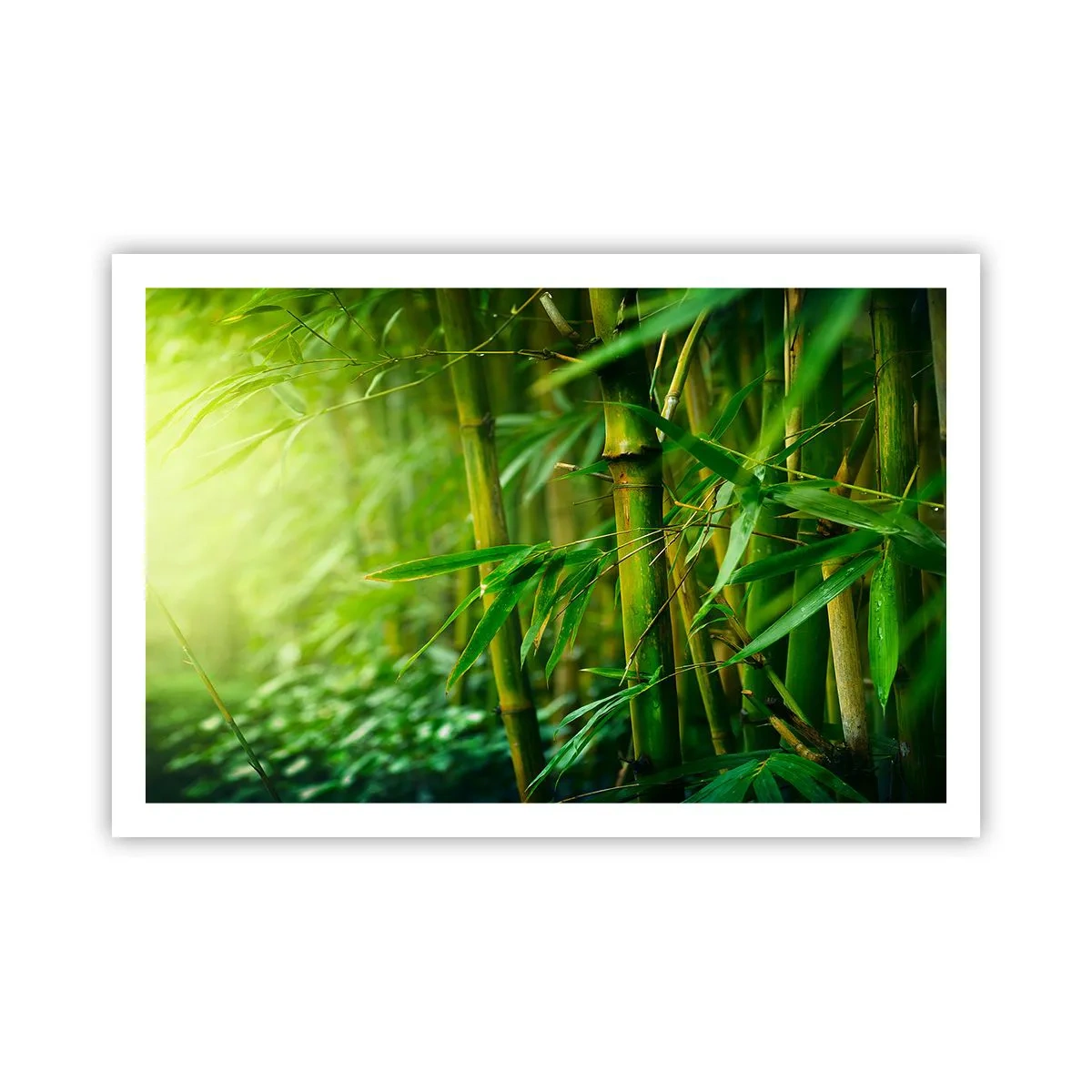 Poster - Lerne Grün selbst kennen - 91x61 cm