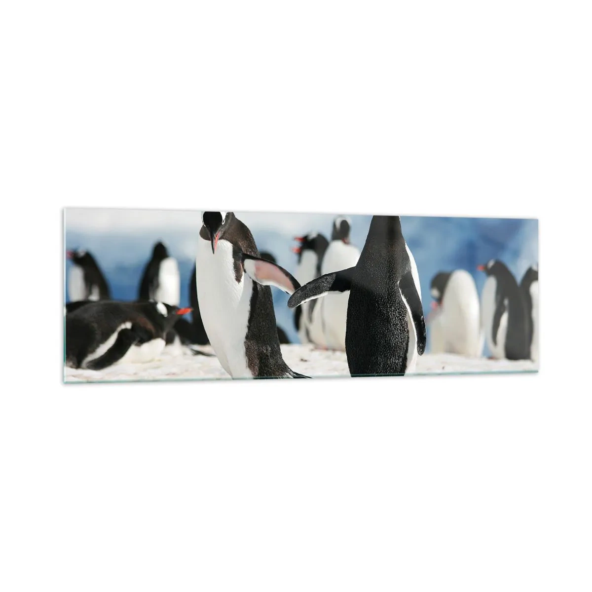 Glasbild - Bild auf glas - Eine Gruppe Pinguine im Schnee in einer antarktischen Landschaft - 160x50cm - Tanzen im Schnee - Moderne Wanddekoration für Wohnzimmer und Schlafzimmer ARTTOR