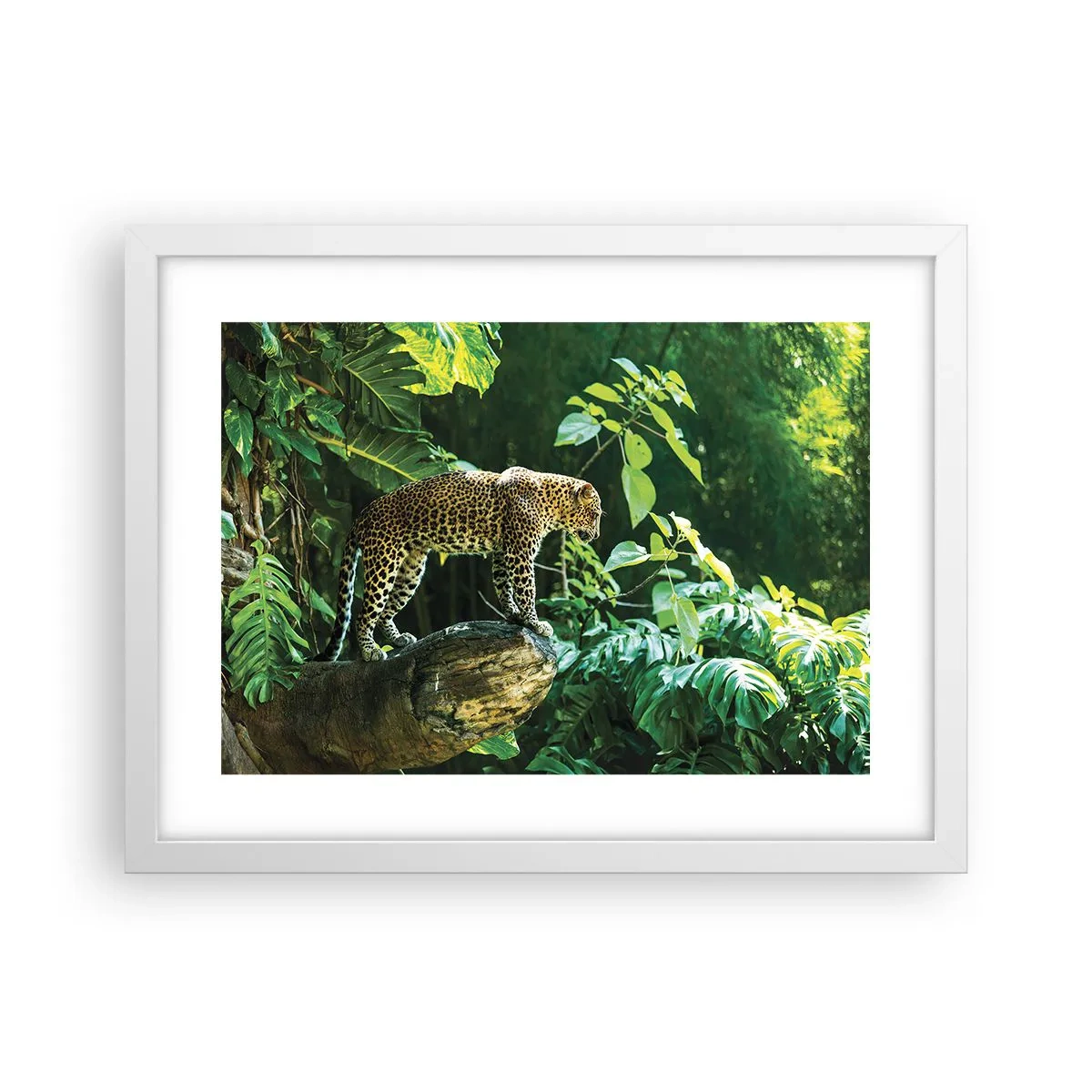 Poster in einem weißen Rahmen - Auf die Jagd? - 40x30 cm