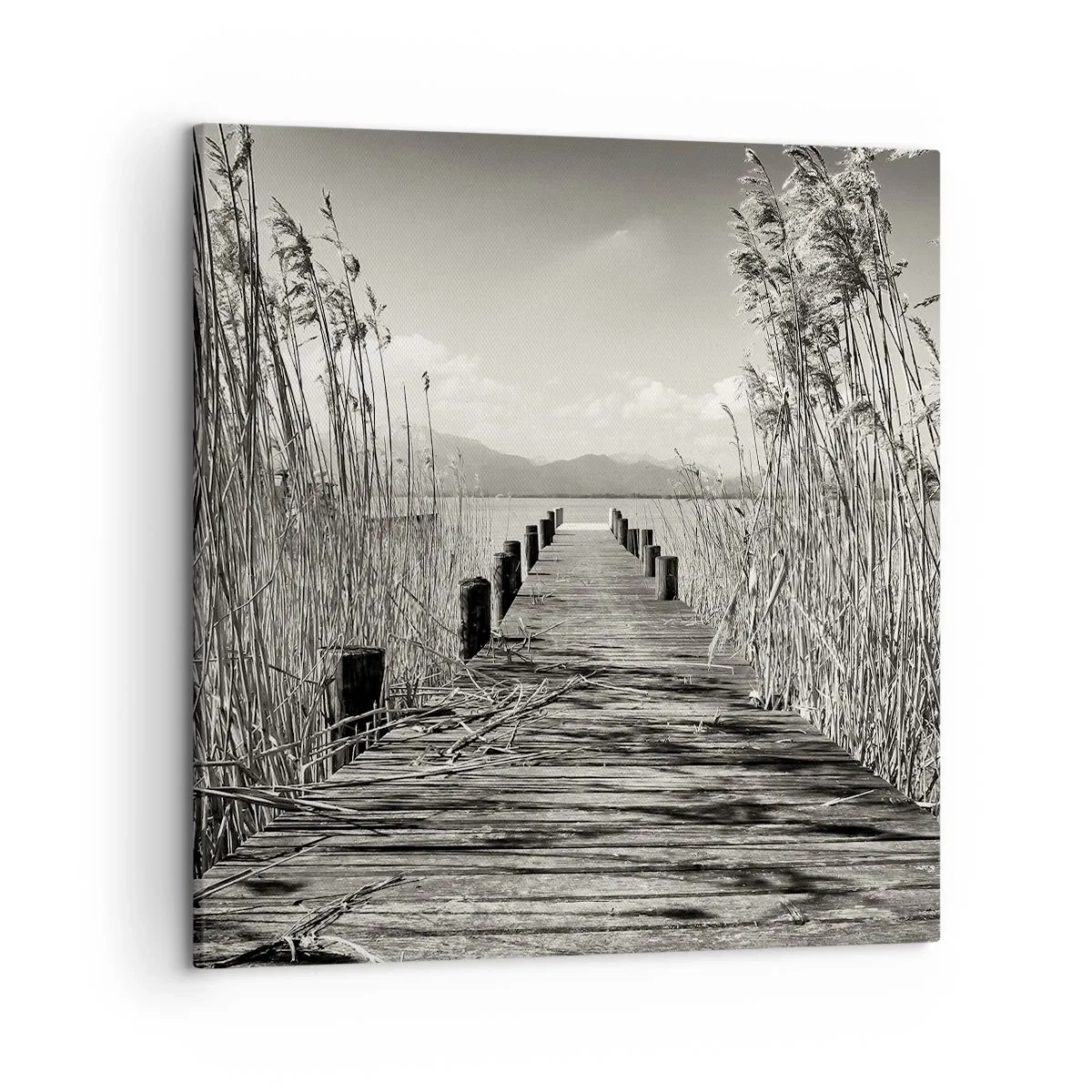 Bild auf Leinwand - Leinwandbild - In der Stille des Grases - 50x50 cm