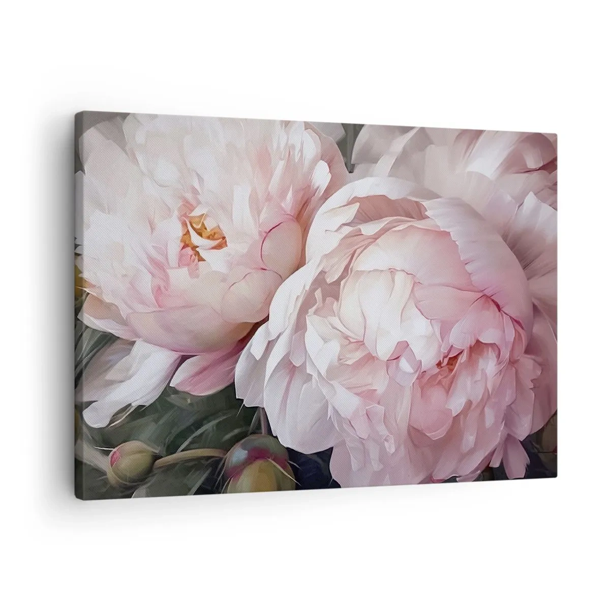 Bild auf Leinwand - Leinwandbild - Zarte rosa Pfingstrosen in voller Blüte - 70x50cm - In der Blüte angehalten - Moderne Wanddekoration für Wohnzimmer und Schlafzimmer ARTTOR