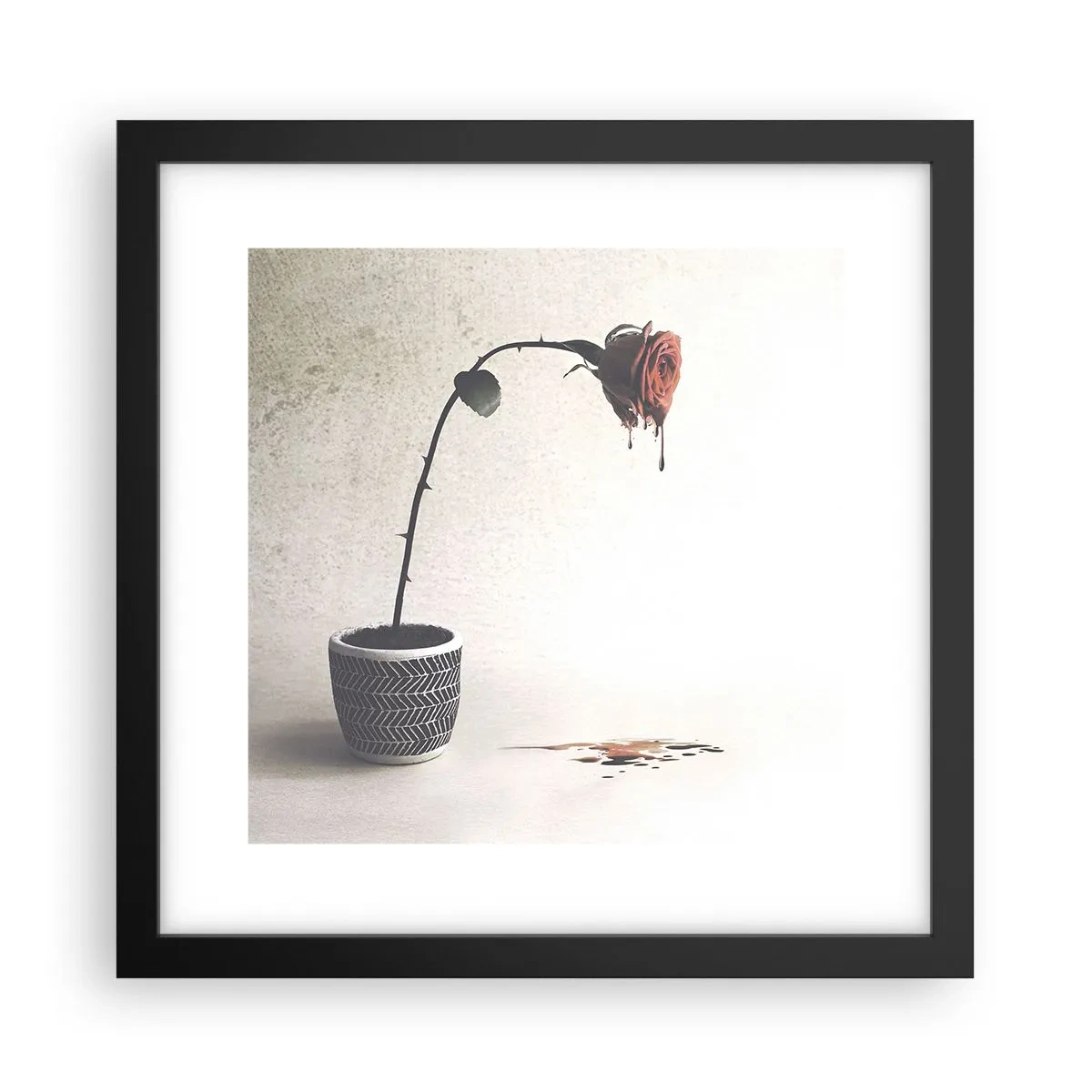 Poster in einem schwarzem Rahmen - Rosa dolorosa - 30x30 cm