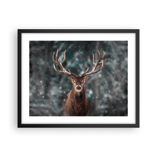 Poster in einem schwarzem Rahmen - Gekrönter König des Waldes - 50x40 cm