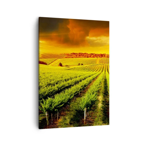 Bild auf Leinwand - Leinwandbild - Goldene Weinberge, beleuchtet von den Sonnenstrahlen - 50x70cm - Unter der australischen Sonne - Moderne Wanddekoration für Wohnzimmer und Schlafzimmer ARTTOR