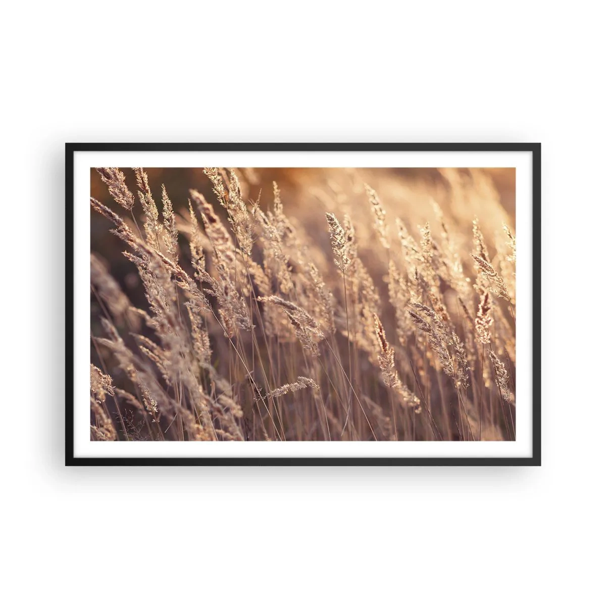 Poster in einem schwarzem Rahmen - Bereit, den Herbst willkommen zu heißen - 91x61 cm