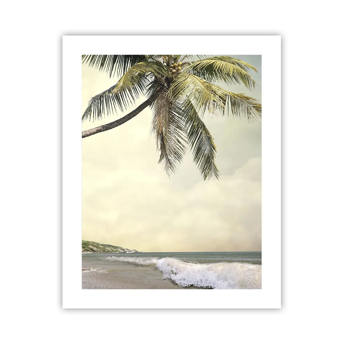 Poster - Tropischer Traum - 40x50 cm