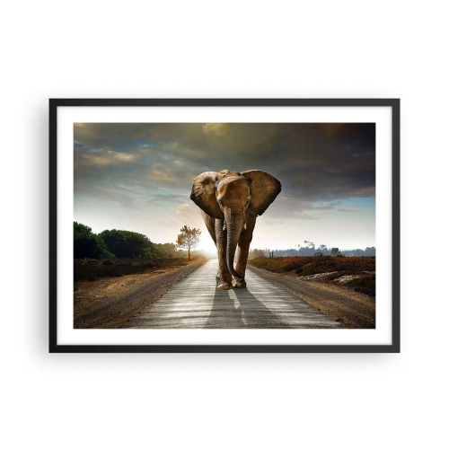 Poster in einem schwarzem Rahmen - Ein Elefant, der bei Sonnenuntergang auf einer Straße durch eine Landschaft läuft - 70x50cm - Und schon gar nicht in einem Porzellanlager - Moderne Wanddekoration für Wohnzimmer und Schlafzimmer ARTTOR