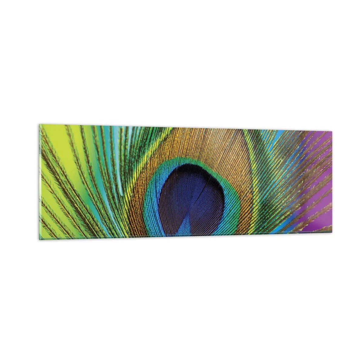 Glasbild - Bild auf glas - Auge in Auge - 90x30 cm