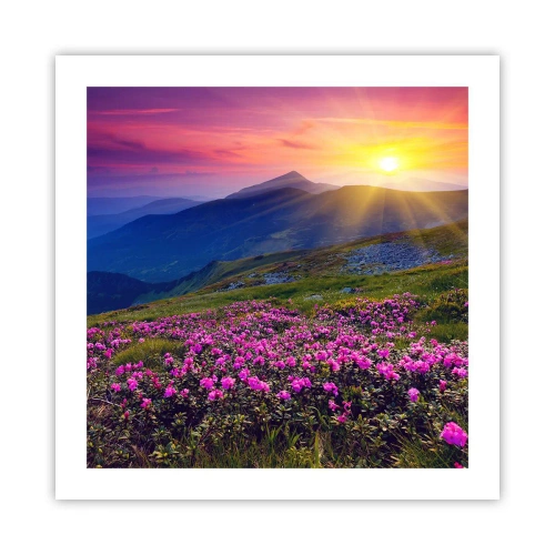Poster - … Und drumherum duftet es nach Latschenkiefer und dem Duft von Kräutern - 50x50 cm