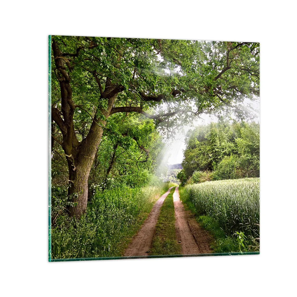 Glasbild - Bild auf glas - Et in Arcadia ego - 40x40 cm