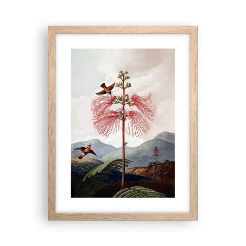 Poster in einem Rahmen aus heller Eiche - In einem tropischen Paradies - 30x40 cm