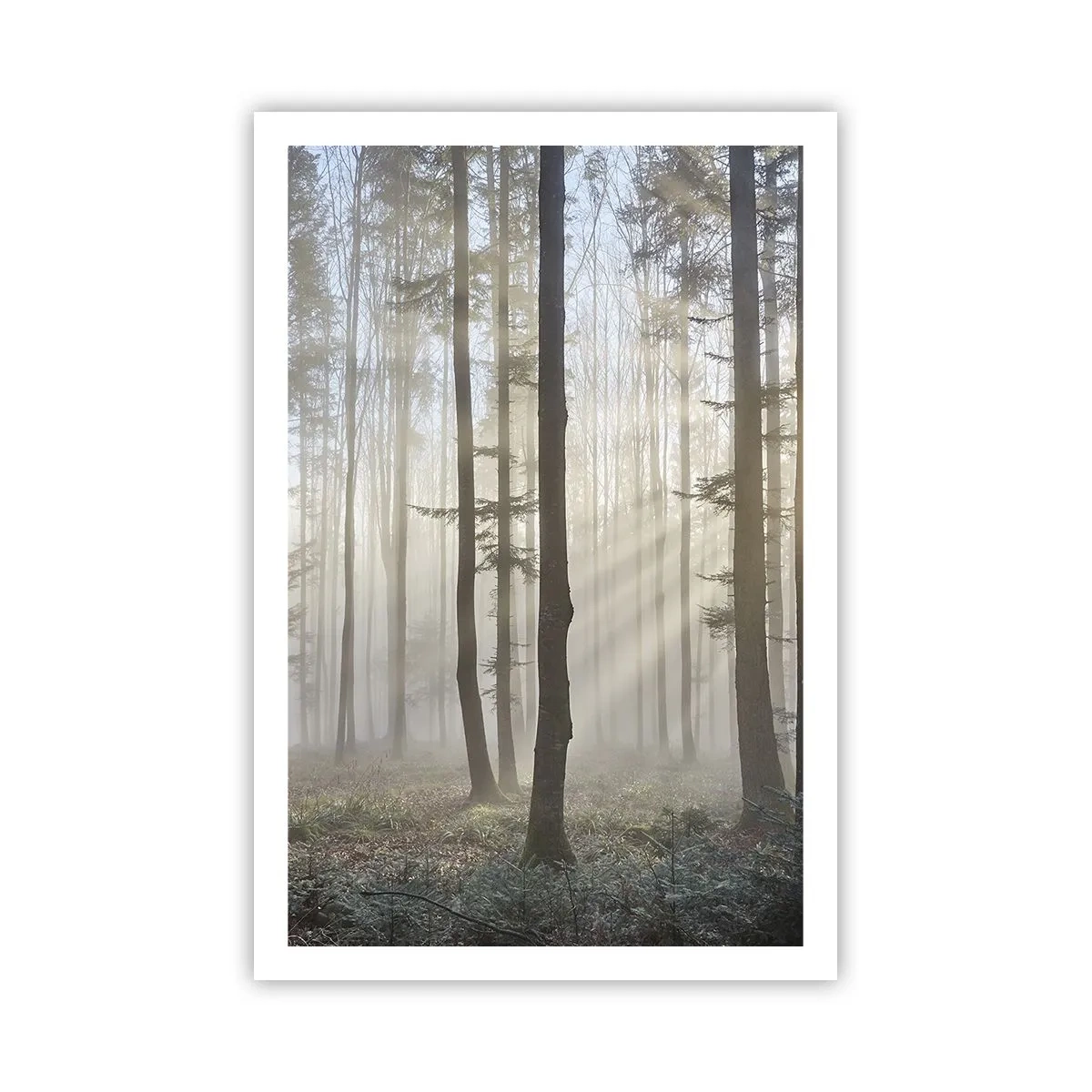 Poster - Der Nebel ist auch aufgewacht - 61x91 cm