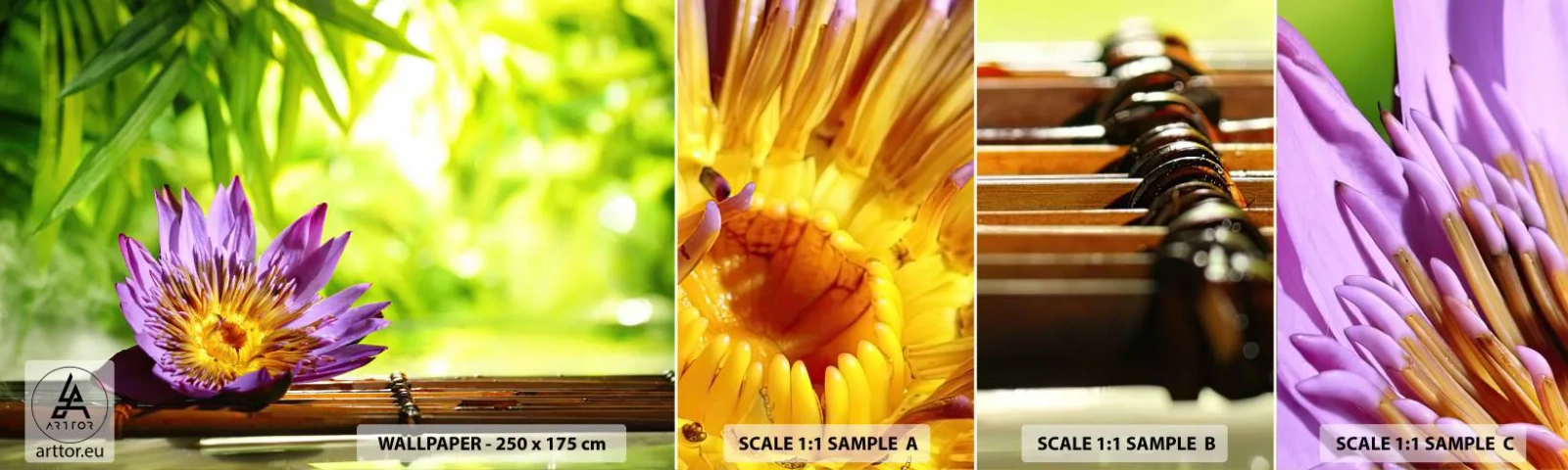 Fototapetenmuster Standard Eco - In der asiatischen Sonne - Blume, Lotus Blume, Bambus - 100x30 cm