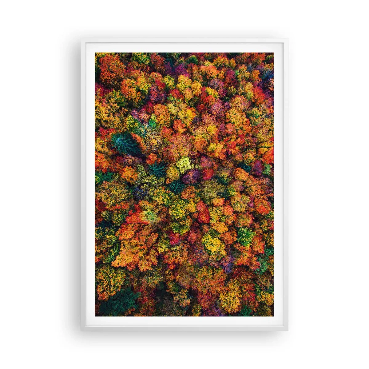 Poster in einem weißen Rahmen - Blumenstrauß aus Herbstbäumen - 70x100 cm