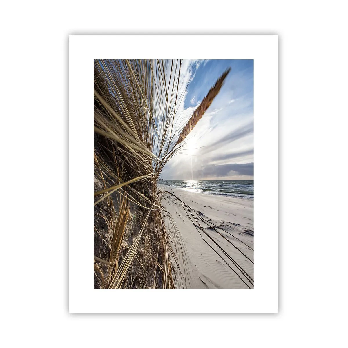 Poster - Ein Treffen der Elemente der Natur - 30x40 cm