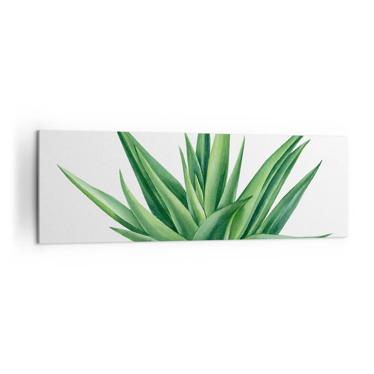 Bild auf Leinwand - Leinwandbild - Eine saftige grüne Pflanze auf weißem Hintergrund - 160x50cm - Grün – Kraft – Leben - Moderne Wanddekoration für Wohnzimmer und Schlafzimmer ARTTOR