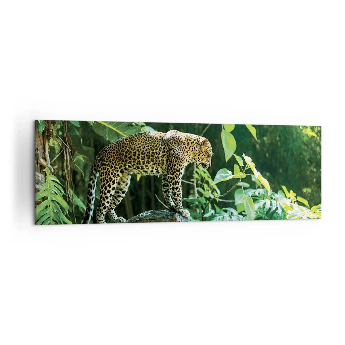 Bild auf Leinwand - Leinwandbild - Ein Leopard steht auf einem Felsen, umgeben von tropischer Vegetation - 160x50cm - Auf die Jagd? - Moderne Wanddekoration für Wohnzimmer und Schlafzimmer ARTTOR