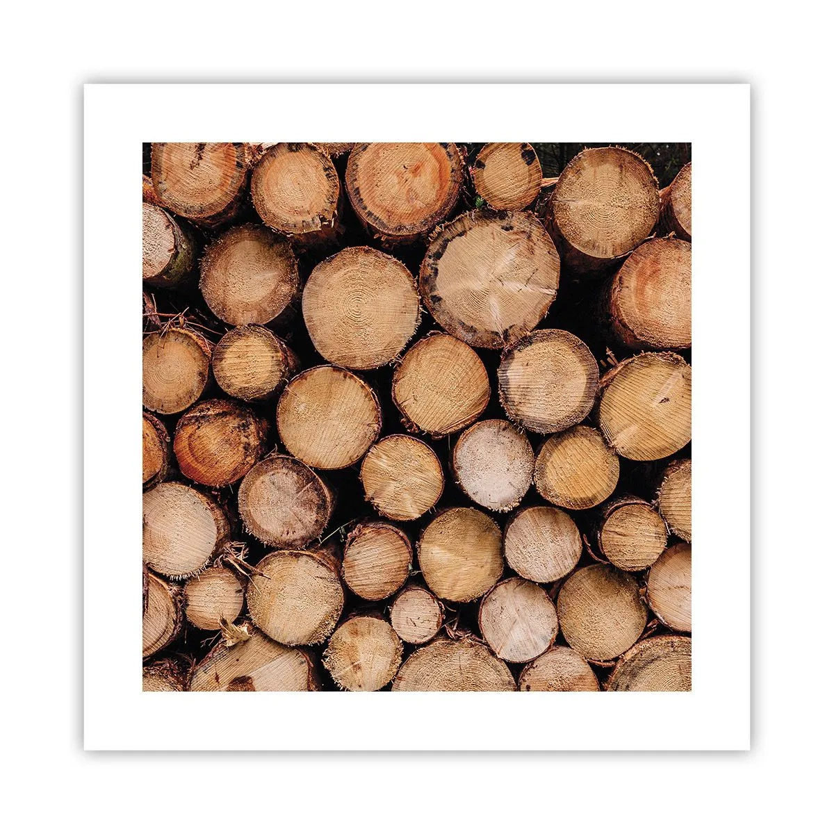 Poster - Ein neuer Anfang - 40x40 cm