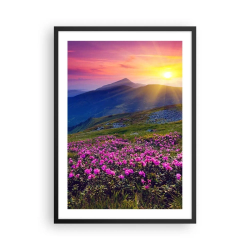 Poster in einem schwarzem Rahmen - Bergpanorama mit blühenden Rhododendren und Sonnenuntergang - 50x70cm - … Und drumherum duftet es nach Latschenkiefer und dem Duft von Kräutern - Moderne Wanddekoration für Wohnzimmer und Schlafzimmer ARTTOR