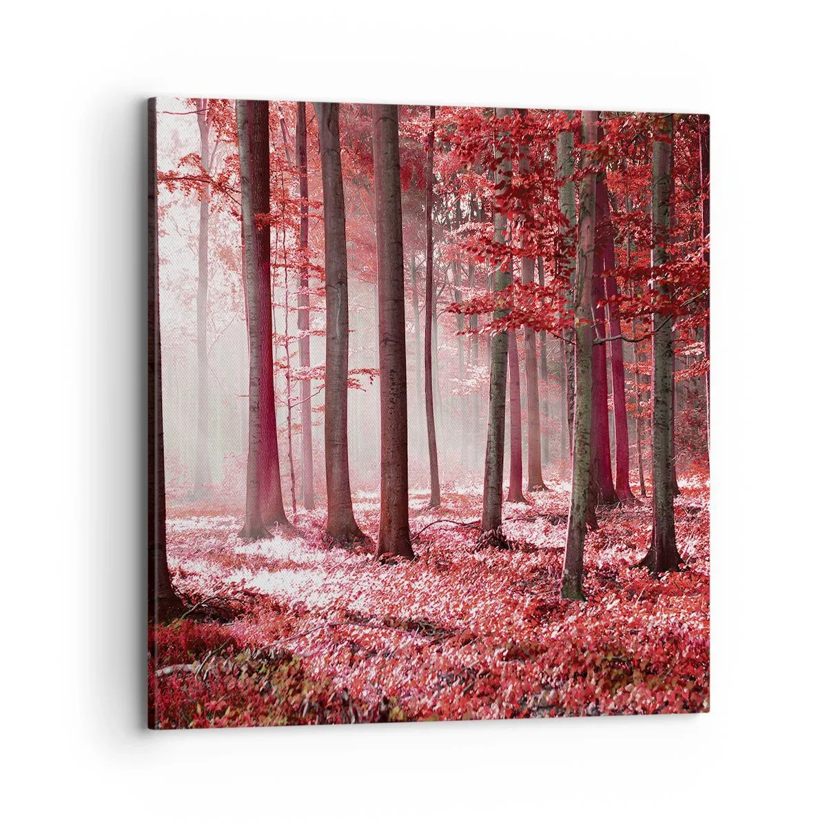 Bild auf Leinwand - Leinwandbild - Rot ist genauso schön - 70x70 cm