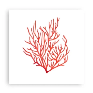 Poster - Korallenfiligran - 60x60 cm